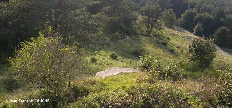 Camping Le Cote D'Opale Cucq Exterior foto